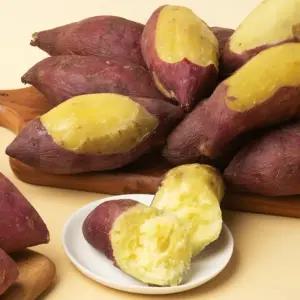 [해남미소] 달망유통 25년 비세척 밤고구마 10kg