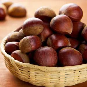 달달한 부여 햇밤 알밤 생밤 군밤 특 2kg 3kg