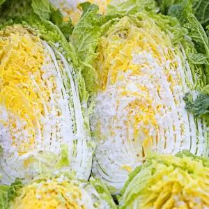 전라도 해남 절임배추 20kg 날짜지정 절인배추 김장 김치