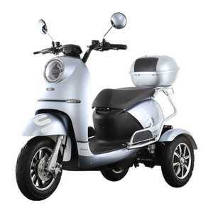 역삼륜오토바이 전기 전동차 출퇴근용 삼발이오토바