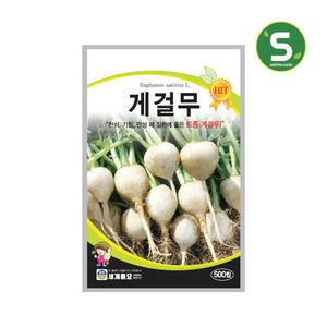 게걸무씨앗 500립 게걸무 무씨앗 이천지역 토종무종자