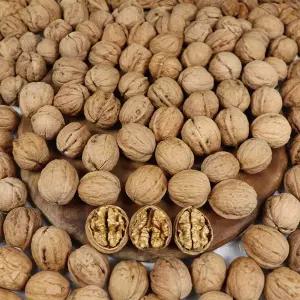 고소한 국내산 햇호두 2kg