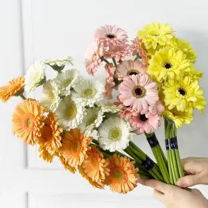 (플라워마켓) 거베라 5송이 랜덤 색상 양재꽃시장 생화 도매 배달