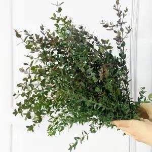 (플라워마켓) 파블로 그린 소재 양재꽃시장 생화 배달