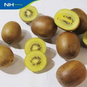 [이베따]순천농협 골드키위 5kg(실속형/대과) 무선별