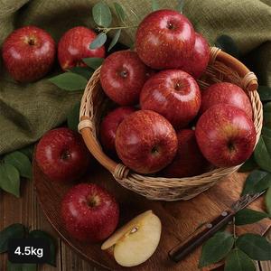 열매나무 거창특등급후지사과 4.5kg