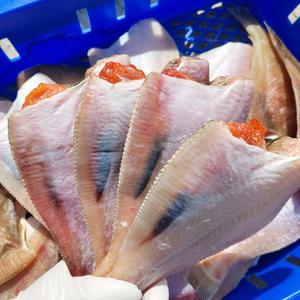국산 반건조 손질 참가자미 알가자미 특대사이즈 4미1팩(165-200g)내외