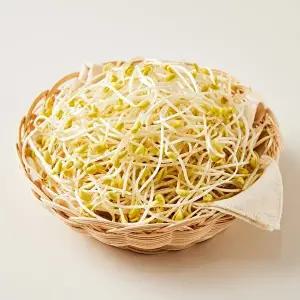 [마이프레시] 무농약 콩나물 1kg