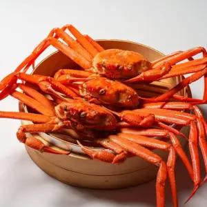 [전라도 청년] 당일조업 동해안 자연산 A급 자숙홍게 6kg 15-16미