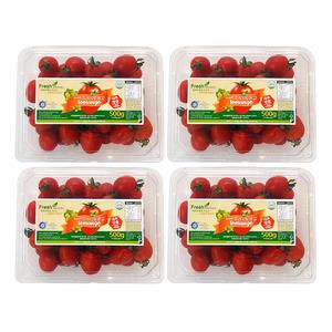 스테비아 대추방울토마토 청포도향 토망고 500g×4팩