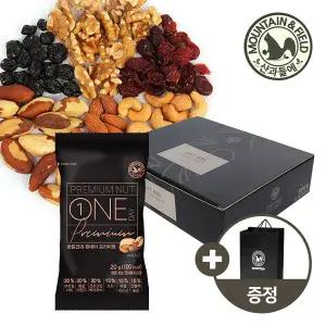 [산과들에] 하루견과 원데이프리미엄 50봉 선물세트 +쇼핑백