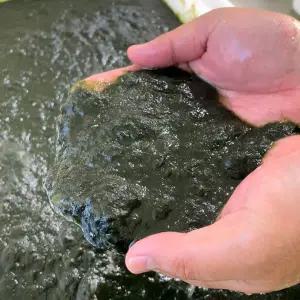 냉동 국산 완도 매생이 400g