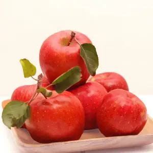 햇 자연향 부사 정품(미얀마) 4kg