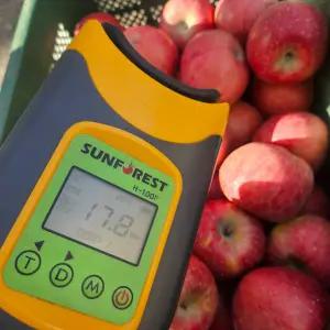 [당도 13~15brix 보장] 경북 예천 프리미엄 사과 부사 상급 아삭달콤 선별과일 3kg