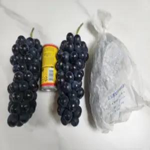 메가블랙 극조생 포도 묘목