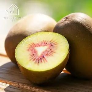 [웰굿] 하동직송 고당도 레드키위 10kg(랜덤과,주스용)