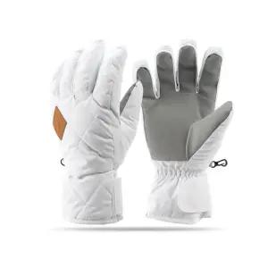 아넥스 성인용 겨울 스키장갑 스노우보드 장갑 방한 5710