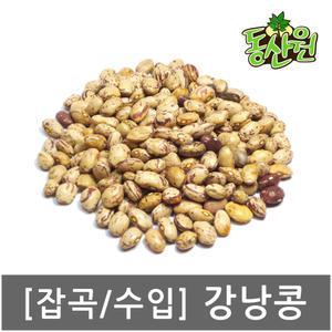 잡곡 콩 강낭콩 1kg 얼룩강낭콩 수입