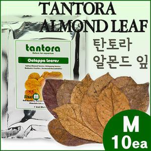 탄토라 알몬드잎M 10장 / 수족관 어항 수조 영양제 PH 하강 발색강화 수질 안정 정화 개선 구피 쉬림프 CRS