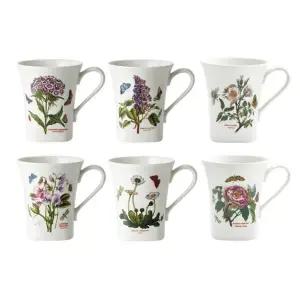 보타닉가든 사각머그6p세트