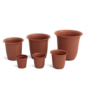 마이플랜트 토기분 플라스틱 칼라 분갈이 화분