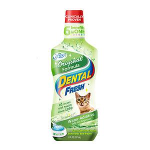 고양이물에타는치약 입냄새제거 치약 캣위생 충치예방