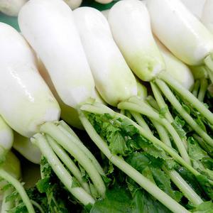 (미식한가) 황토 세척 알타리무/초롱무 3kg(1.5단내외) / 에약일 지정 / 김장재료