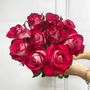 (플라워마켓) 올스타 레드 장미 5송이 양재꽃시장 생화 배달 꽃 정기구독