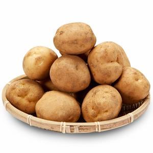 포슬포슬 맛있는 수미 감자 5kg 대