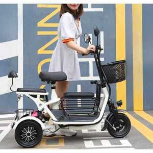 성인용 세발 전기자전거 2인승 3인승 출퇴근 등하교