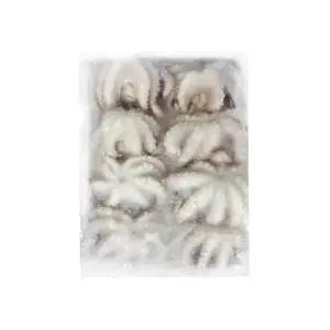 베트남 냉동 쭈꾸미 200g 20/30 , 30/50 , 50/80 , 80/100 골라담기