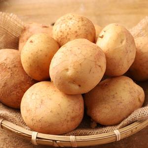 국내산 포슬포슬 담백한 햇감자 5kg(중/소 혼합)