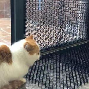 에어컨 실외기 비둘기 고양이 퇴치 버드스파이크 베란다 조류 퇴치기 야생동물 퇴치망 버드클린 까치