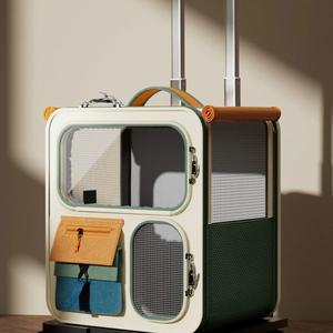 가방 반려동물 이동장 배낭 시바견 중형견 통기성 미니언즈 산책가능한 TAIL 외출 반려