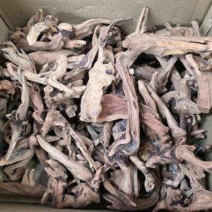 레인보우 부세유목 10cm 전후 3개 어항 수족관 장식 활착