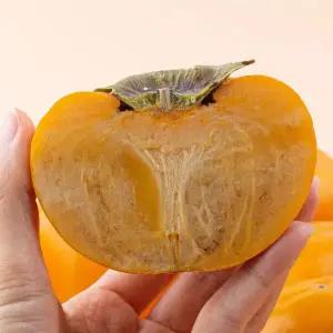 아삭아삭 달콤한 제철 부유단감 5kg(중대과)