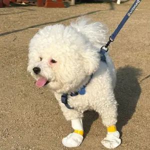 강아지 일회용 신발 m사이즈 20매