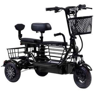 48V 세발 전기자전거 애견 10A48V 2인승 스쿠터 3발전기자전거 35KM