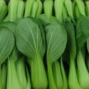 올바이 청경채 국내산 원물 4kg내외 샤브샤브 마라탕 반찬용