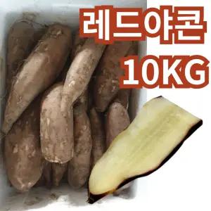 강원도 레드야콘 햇야콘 프리미엄 상특품 생식용 신선아삭 10kg