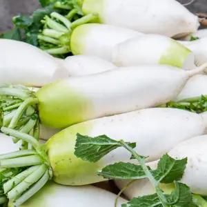 세상별미 제주도 무우 제주무 세척무 5kg 김장무 월동무