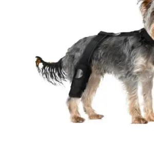 [셀러에이드]애견 슬개골 탈구 보호대 다리 깁스 관절 무릎보호대 S