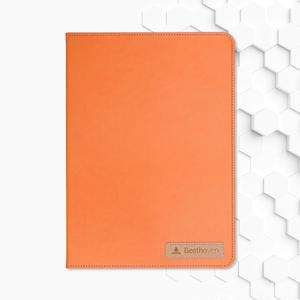 뉴 아이패드 9.7 6세대 / 5세대 컬러에디션 오렌지 컬러 케이스