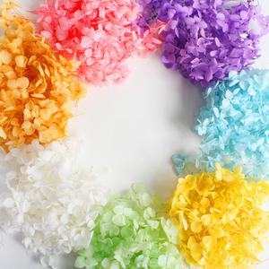 프리저브드플라워 수국 소량판매 / 레진아트 하바리움 diy 만들기 재료