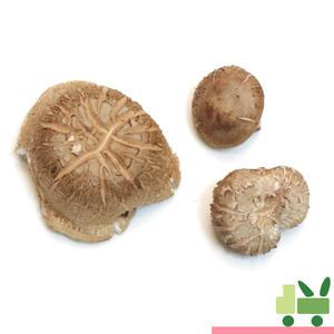 표고 버섯 2Kg (파지)