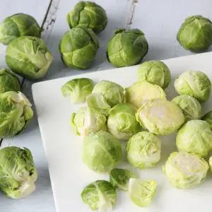 [친환경팔도] 미니 방울양배추 1kg