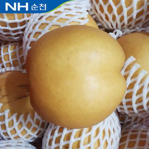 순천농협 가정용 신고배 5kg(6-9과) 실중량