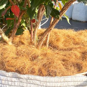 깨비농장 프리미엄 멀칭재 코코화이버/코코화이바/블루베리멀칭재 /수분증발방지/잡초발아방지