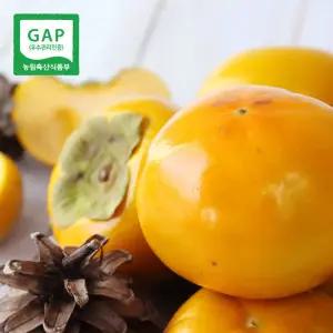 [생산자직송] 창원 부유 단감(특) 10kg