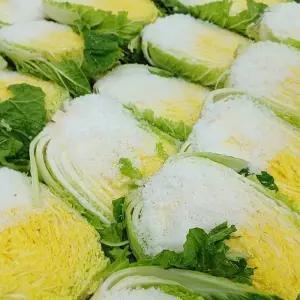 자연을담음 HACCP 해남 절임배추 20kg/ 천일염사용/ 지정일도착/ 절인배추 김장
